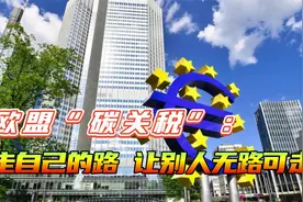 2026开征碳关税，欧盟贼心不死，欲一刀砍断发展中国家工业化之路视频封面