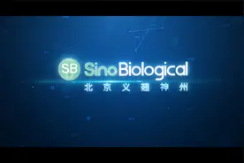 义翘神州最新宣传片视频封面