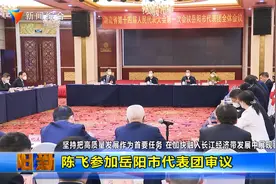 陈飞参加岳阳市代表团审议视频封面