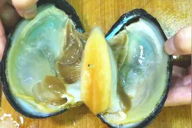 河蚌从清洗到制作全过程，讲解精细，鲜香味美，干净没泥沙视频封面
