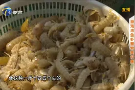 黄骅南排河码头：海货物美价廉，超级抢手！收货商：有什么收什么视频封面