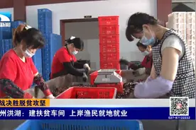 荆州洪湖建扶贫车间  上岸渔民就地就业视频封面