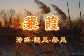 古诗文经典诵读：诗经《蒹葭》全文朗诵，所谓伊人，在水一方视频封面