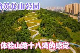 武汉光谷新晋公园黄龙山公园，体验山路十八弯的感觉，周末好去处视频封面