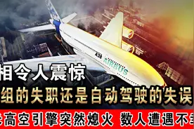 空中浩劫？万米高空引擎突然熄火，数人遭遇不幸，最终平安落地！视频封面