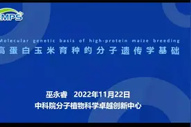 中科院上海所巫永睿老师：高蛋白玉米育种的分子遗传基础视频封面