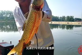 这种钓法威力太大，不建议轻易使用，连竿到手软，鱼护都撑爆了！视频封面