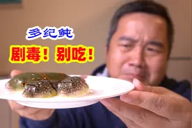 吃海鲜不能不了解河豚，吃错了可能会要人命#神奇海鲜在哪里#视频封面