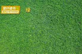 朱自清的写景散文《绿》：清新细腻，诗意盎然！视频封面