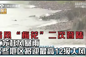 台风“梅花”二次登陆！江苏狂风暴雨，这些地区将迎最高12级大风视频封面