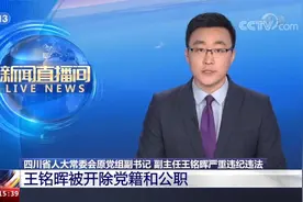 四川省人大常委会原党组副书记、副主任王铭晖被“双开”视频封面
