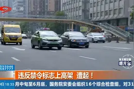 违反禁令标志上高架，遭起！视频封面