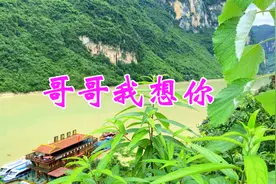 姑娘一首情歌《哥哥我想你》句句痴情，入人心扉，超级好听！视频封面