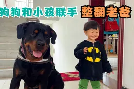贪吃老爸抢夺小孩零食，狗狗与小孩联手整翻老爸，太搞笑了！视频封面