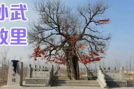 乐安故城遗址，在广饶县的草桥村视频封面