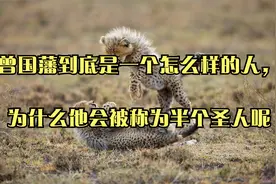 曾国藩到底是一个怎么样的人，为什么他会被称为半个圣人呢视频封面