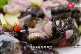 老广：老广吃青蛙可是很讲究，老人称它为活人参，清蒸石蛙最正点视频封面