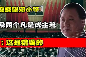 1976年王震探望邓小平，谈及“两个凡是”成主流，邓：这是错误的视频封面