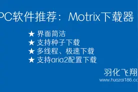 【PC软件推荐】Motrix下载器：支持种子、aria2、多线程下载起飞视频封面