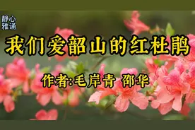 美文诵读：缅怀先烈《我们爱韶山的红杜鹃》作者：毛岸青 邵华视频封面