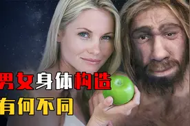 不同性别人类的身体构造，究竟有何不同？这些差别你可能没听过视频封面