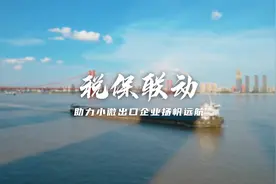 税保联动，助力湖北小微出口企业扬帆远航视频封面
