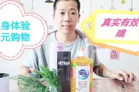 电商免单零元购，到底是不是真的？吃货大成亲身体验网购不花钱视频封面