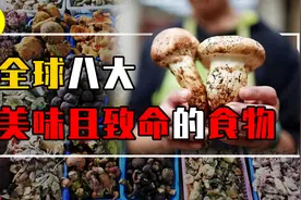 盘点全球8大致命美食，吃错分分钟就会让人丧命，你吃过几种呢?视频封面