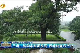 【传承弘扬焦裕禄精神】兰考：科学求实谋发展 因地制宜兴产业