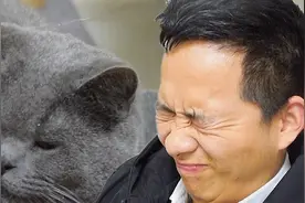【整蛊】帮我开下马桶盖！被整蛊的老公不服气，转身去祸害猫咪视频封面