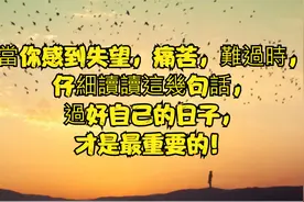 當你感到失望痛苦時，仔細讀讀這幾句話，過好自己日子才是最重要视频封面