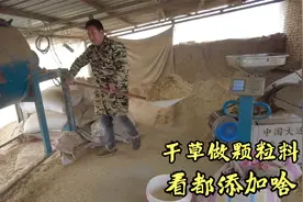 农村冬季干草料造粒养羊，方便省料有营养，颗粒料制作就这么简单视频封面