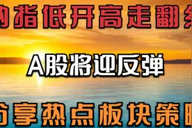2.25早评：纳指翻红，原油回落，A股将迎反弹？三个方向策略分享视频封面
