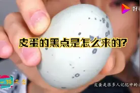 松花蛋为什么蛋壳会有黑点？视频封面