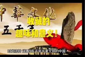 收藏的趣味和意义！视频封面