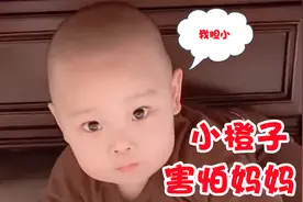 小橙子爬桌底就不出来，气的老妈想揍他，不料橙子越往里面爬了视频封面