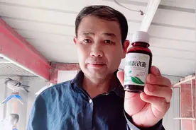 用它搭配一物，治鸽子打呼噜有你意想不到的效果视频封面