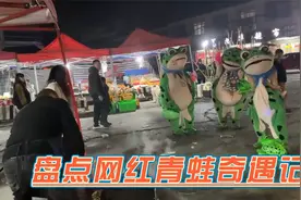 盘点网红青蛙奇遇记，有趣的赖克宝为我们生活增添了不少乐趣
