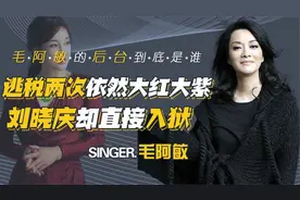 刘晓庆偷税2000万入狱，毛阿敏漏税两次，为何还能安然无恙出国视频封面