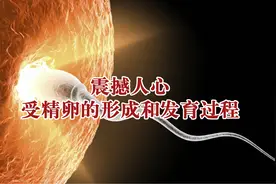 3.你知道你曾经多优秀吗？震撼人心的受精卵的形成和发育过程视频封面