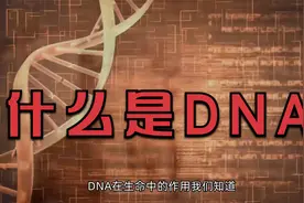 【科普】什么是DNA？有什么用？视频封面