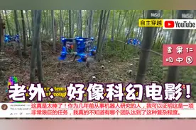 中国无人机群自主穿越竹林震惊老外！外国网友：像在看科幻电影！视频封面