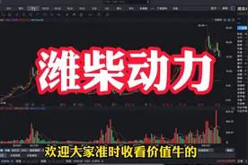 潍柴动力：承认它是发动机龙头，但机械行业还是缺乏想象空间视频封面
