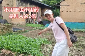 老奶奶利用老地基种菜，不用药也不用肥，没想到是别人的2倍视频封面
