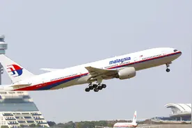 元旦当天，MH319航班起飞后突发意外情况，大兴机场正在着手调查视频封面