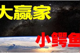 股市大赢家——小鳄鱼！由散户晋级到游资的标杆！看他如何成功！视频封面