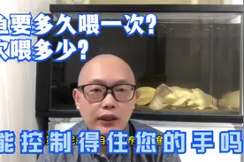 养鱼要多久喂一次？一次喂多少？视频封面