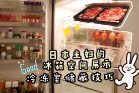 收纳篇：分享日本主妇的冰箱冷冻室收纳技巧，及冰箱储藏空间展示视频封面