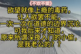 欲望让一个女人一次次在道德的边界沉沦  《不欢不爱》01 #小说视频封面