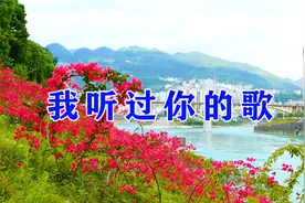 情歌对唱《我听过你的歌》我明白你的心，我的大哥哥！超级好听！视频封面